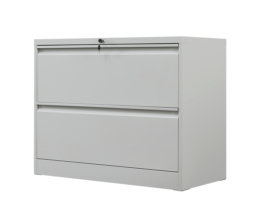 2 Drawer File Cabinet with Large Capacity Storage Space - IGO